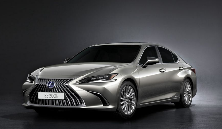 Lexus Interior Leather